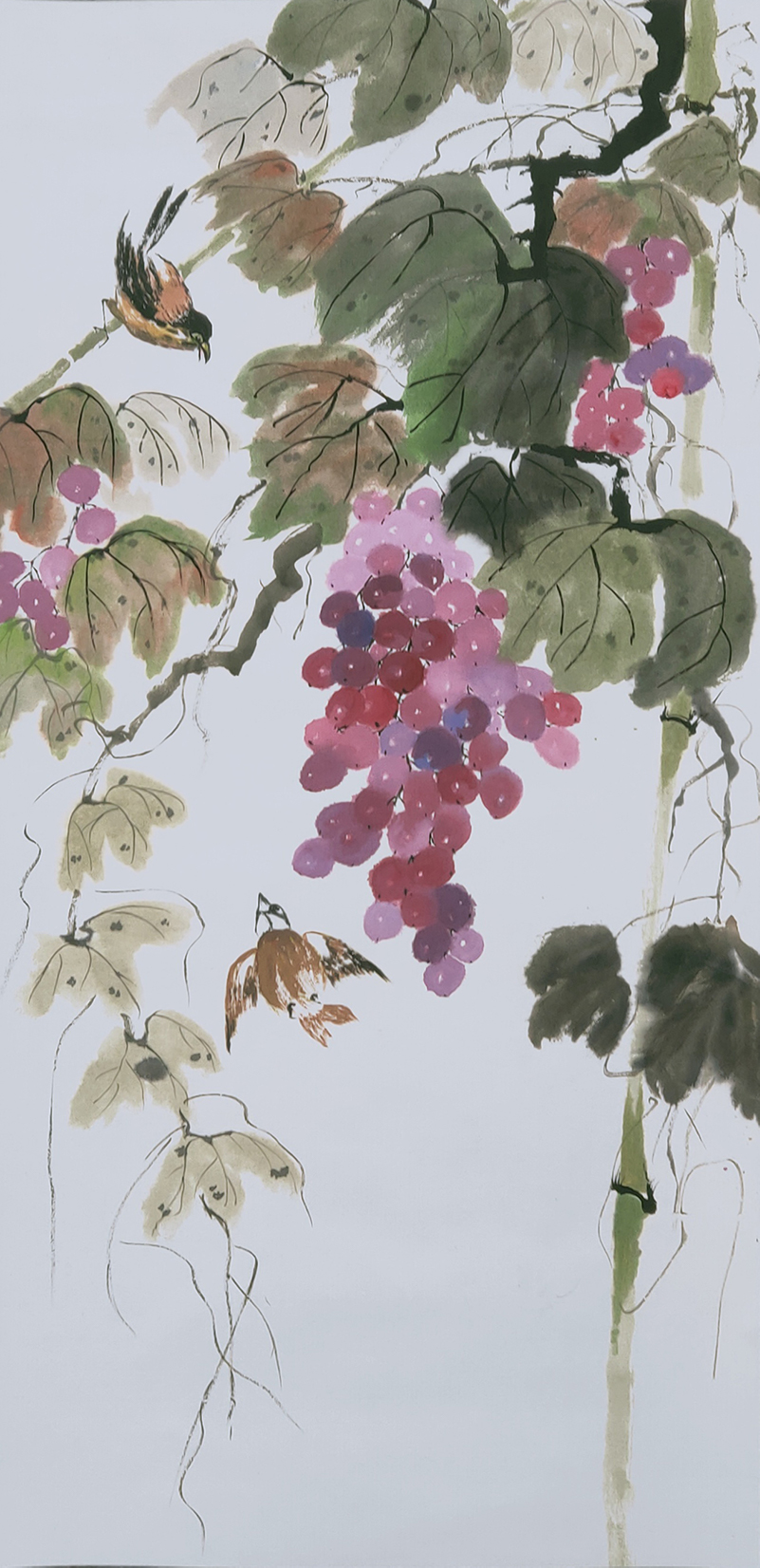 1665��  ��Ʒ���ƣ���ȸ���ѡ��ߴ磺120cm��50cm��2020�괴����.jpg