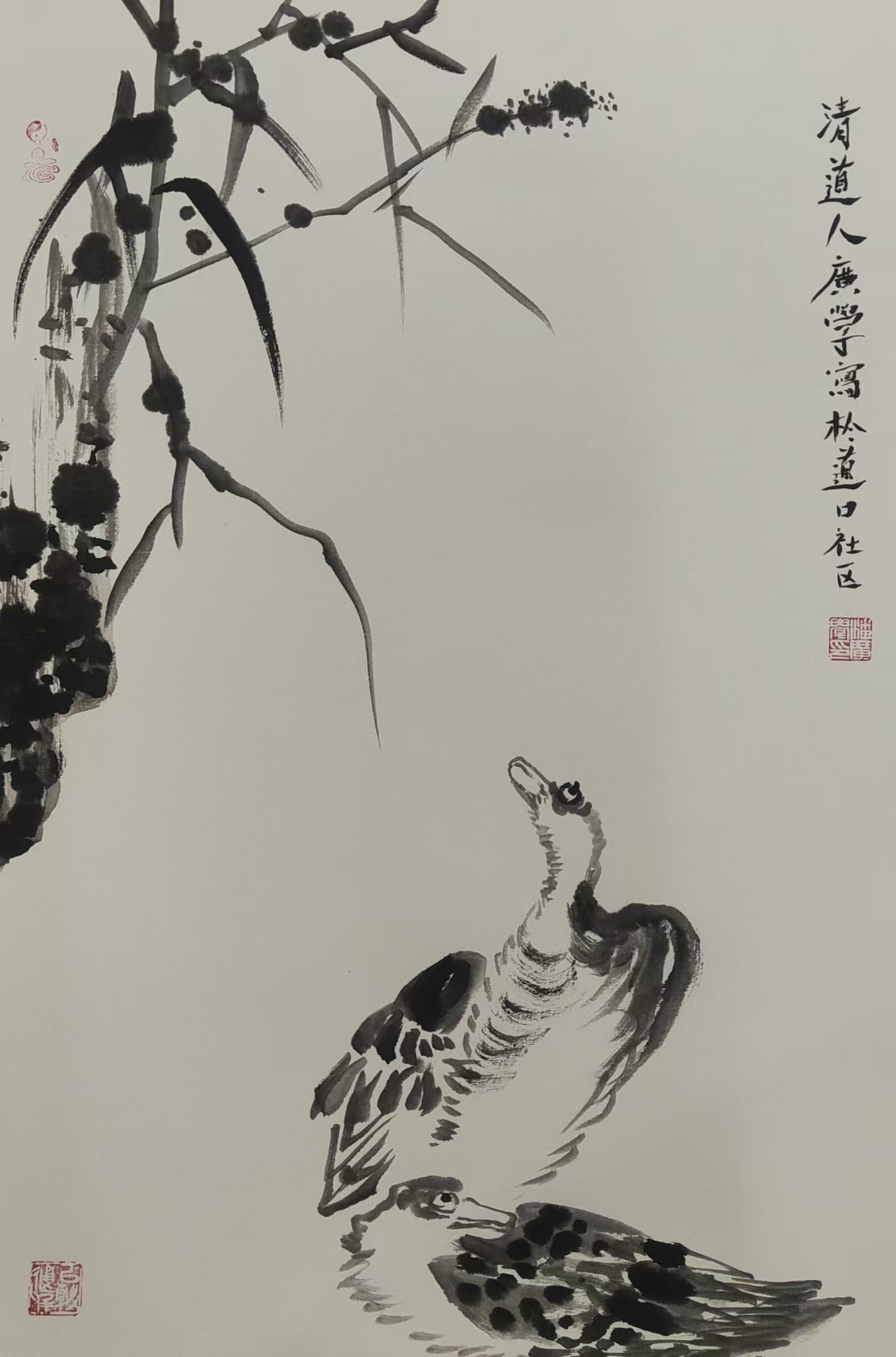 微信图片_20250226093845.jpg 微信图片_20250226093845.jpg